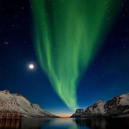 House Of Ellie 2 Tromso
